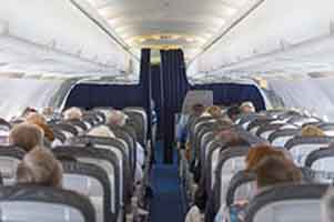 IATA airline passengers