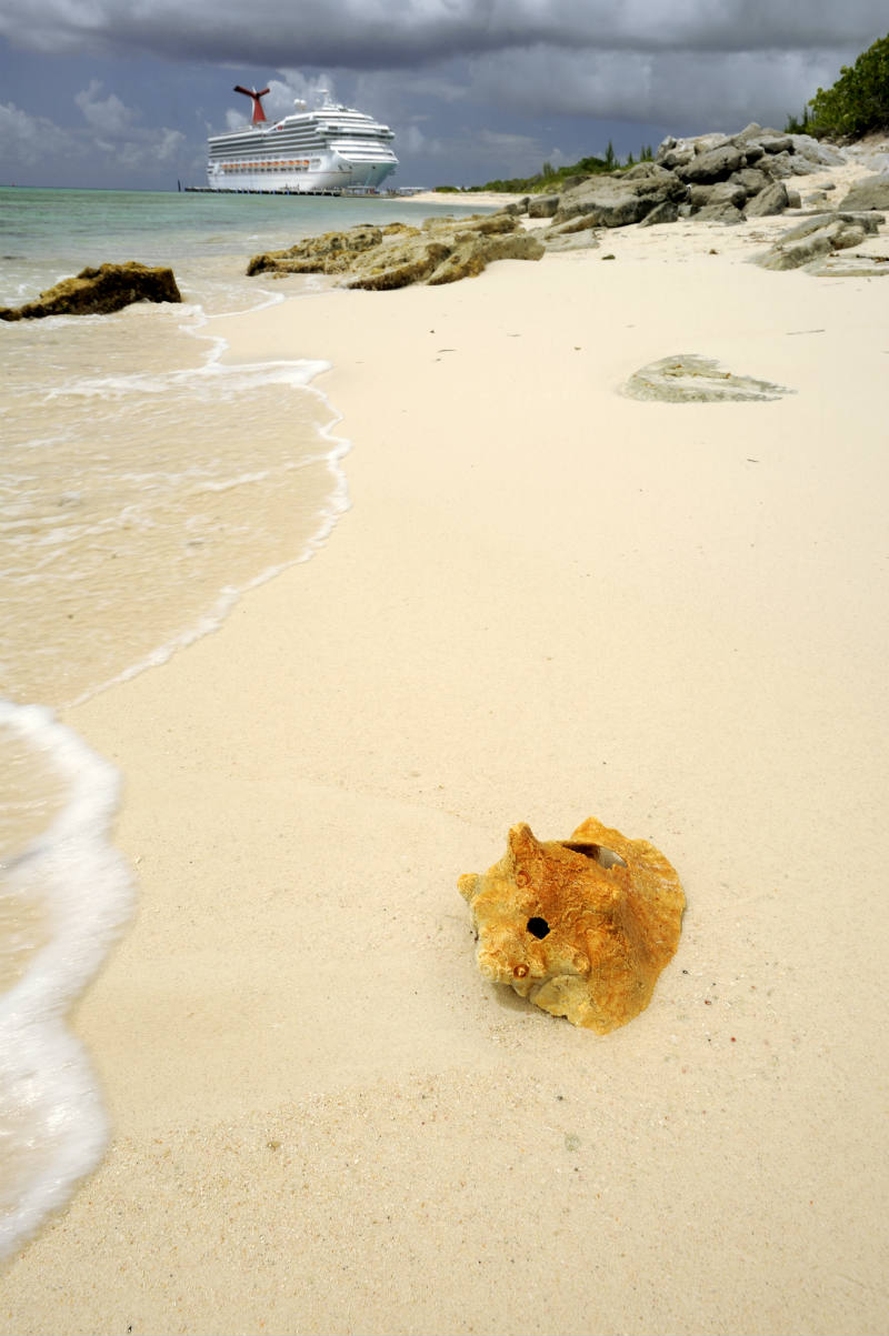 CarnivalLiberty – TRBusiness CarnivalLiberty