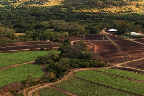 nicaragua tobacco farms J. Cortès buys Oliva leaf operations and additional tobacco farms in  Nicaragua