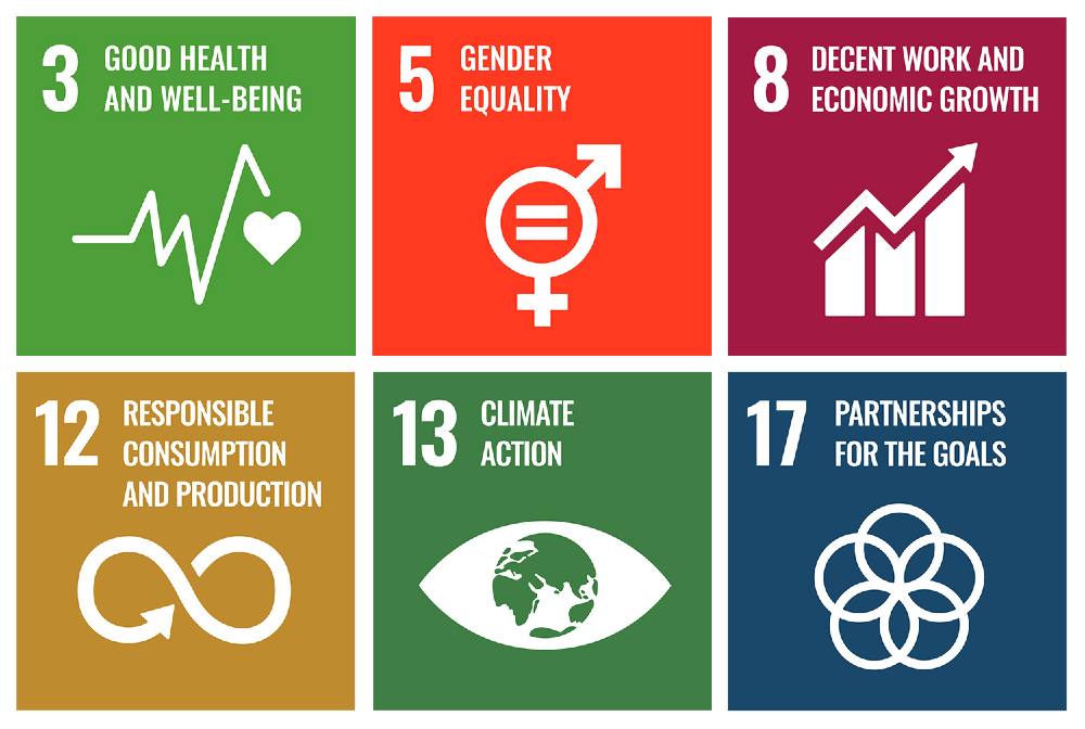 LSG Group takes three-pillar approach to sustainability; aligns with UN ...