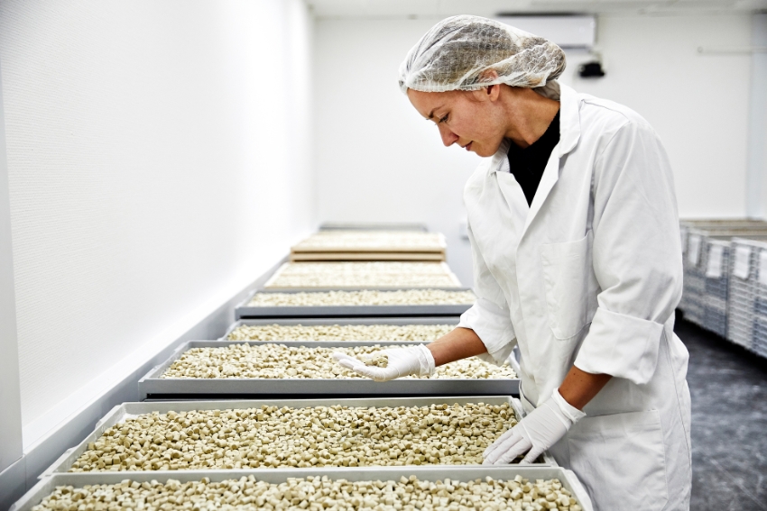 Inside the B-Corp-certified True Gum factory – TRBusiness