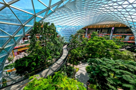 Hamad Orchard – TRBusiness Hamad International Airport in Doha is celebrating one year of its Orchard concept. – TRBusiness