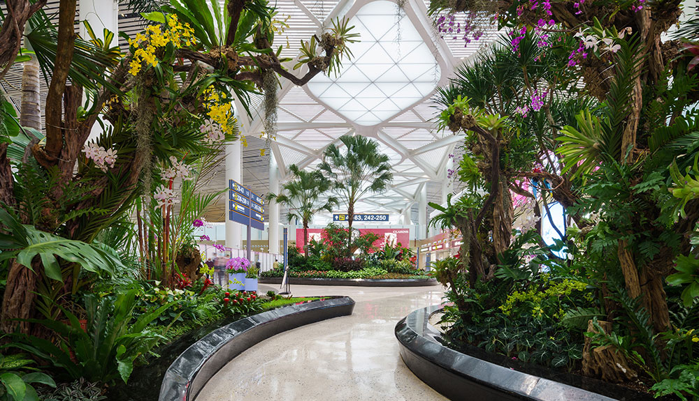Haikou Meilan International Airport  – TRBusiness