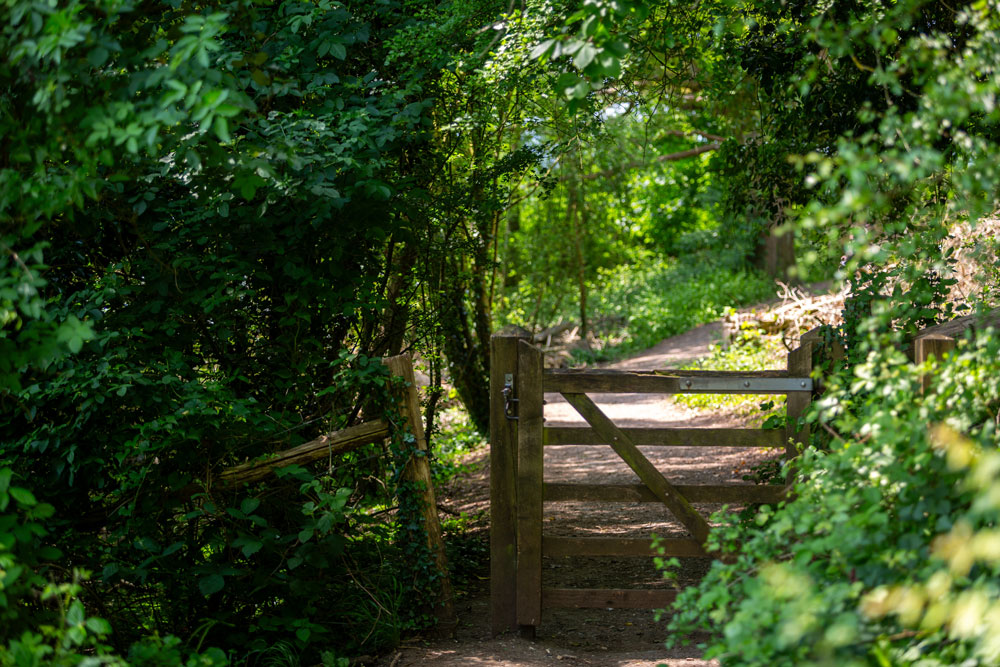 shutterstock_2468418337 – TRBusiness box hill, Surrey – TRBusiness