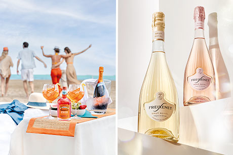 Henkell Freixenet  – TRBusiness