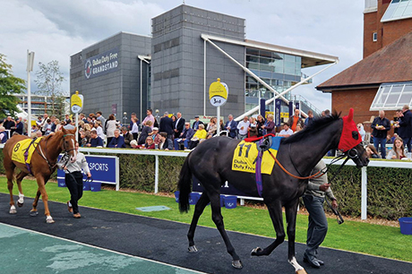 DDF-Spring-Trials-2025-Credit-LBH – TRBusiness  – TRBusiness
