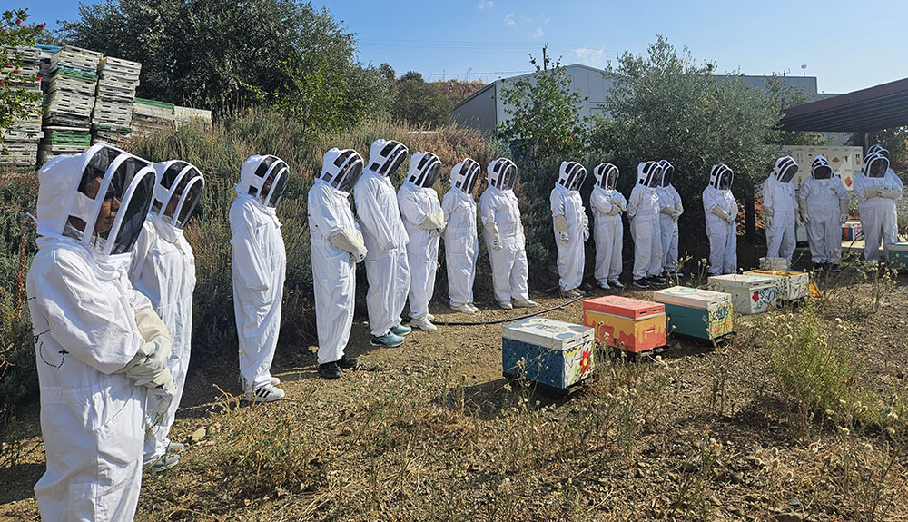 Cyprus Duty Free honey