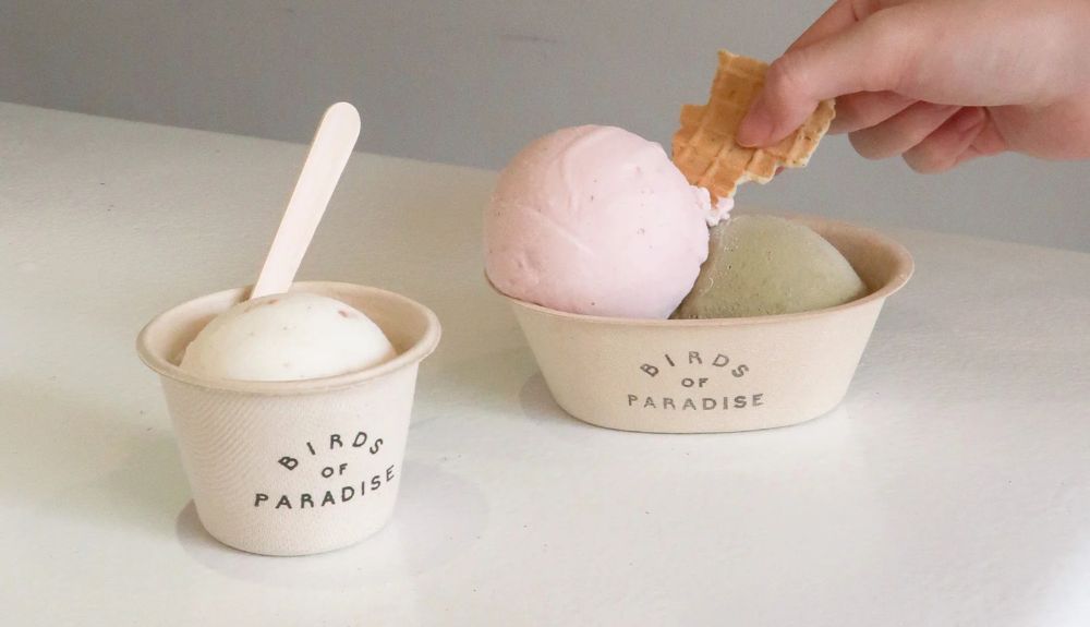 Jewel Changi Airport Fans' Favourites Awards Birds of Paradise – TRBusiness Jewel Changi Airport Fans' Favourites Awards Birds of Paradise