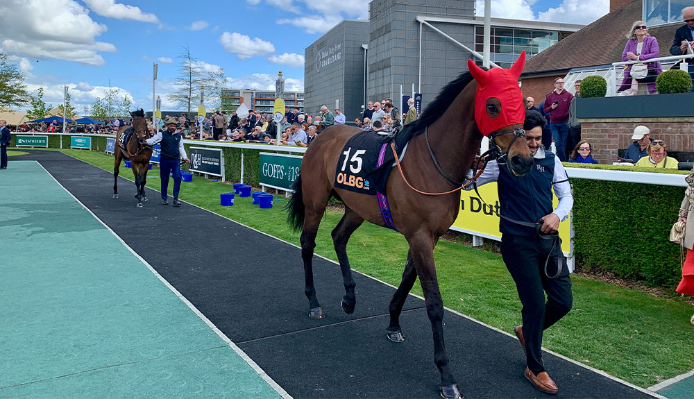 Dubai Duty Free Spring Trials Weekend at Newbury Racecourse
